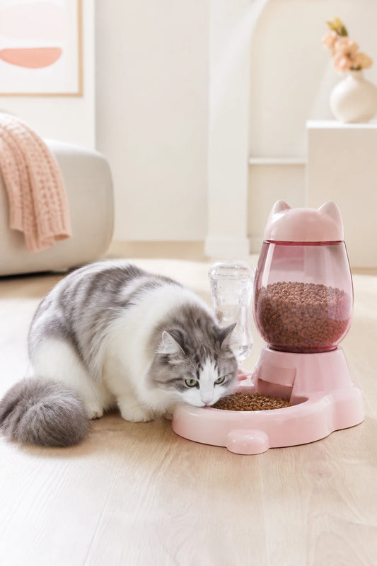 Gato comiendo del comedero automatico Nova Pet