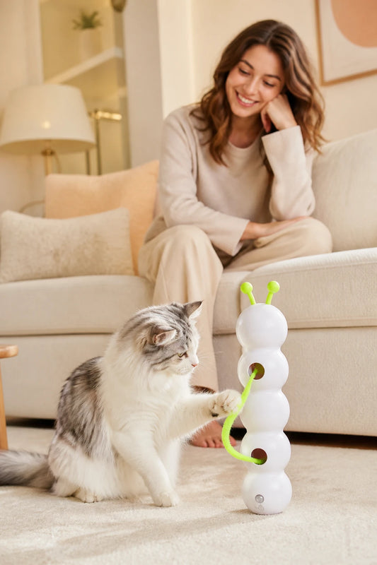 Gato jugando con el juguete interactivo Nova Pet
